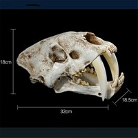 Smilodon Saber Toothed Tiger Skull 1:1 Replica Skull Resin Skull Model 2