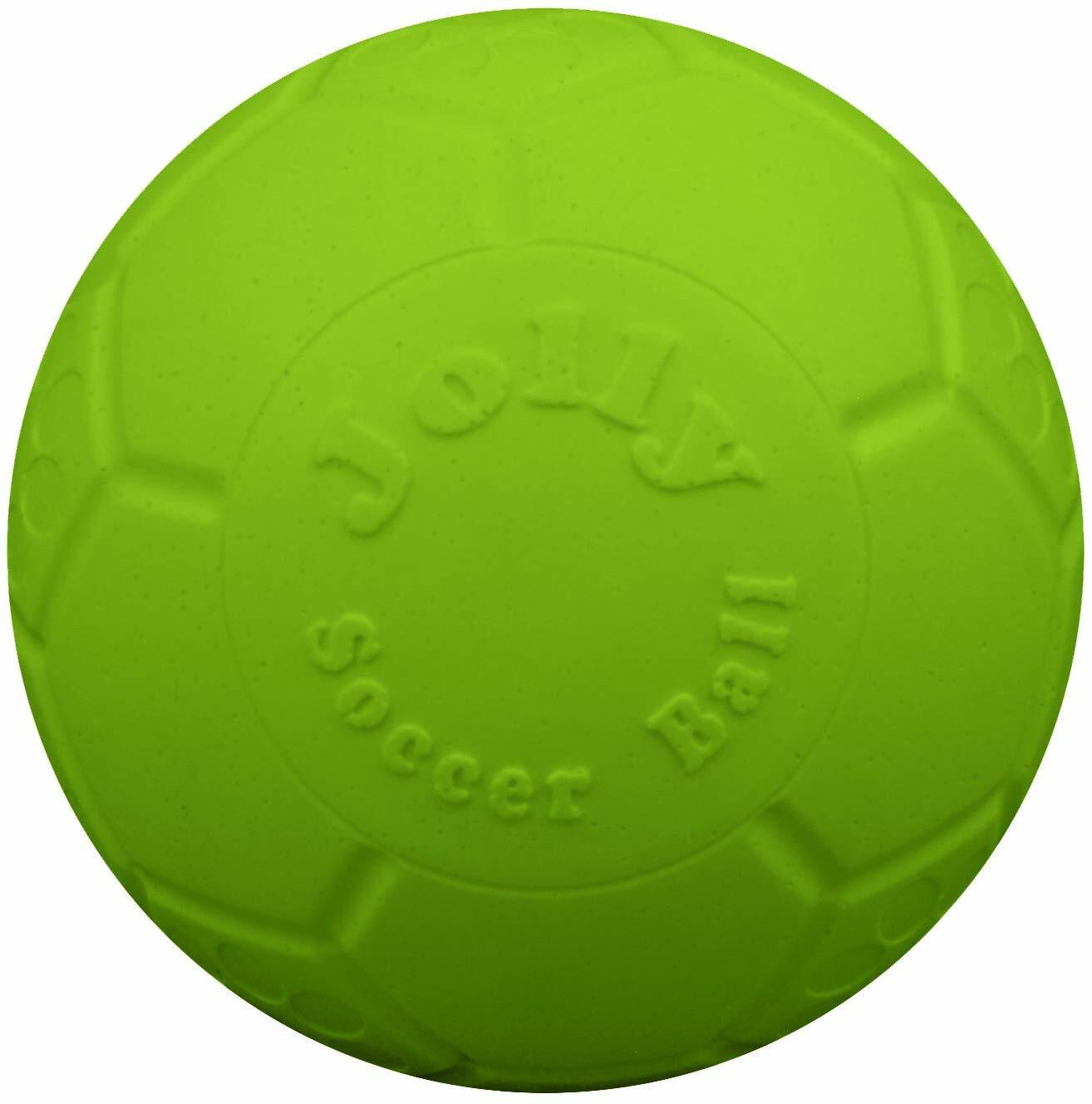 kong frisbee petco