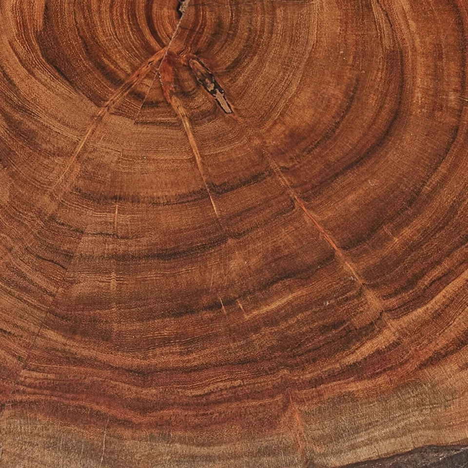 Lazy Susan con bordes de corteza 1,25"x14" madera rústica granja organizador natural parque Foto 3 de 3