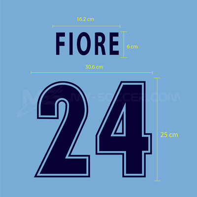 SS LAZIO HOME 2000-01 FLOCK VELVET HIGH QUALITY PRINT | eBay