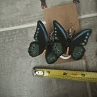Picture 7 of 12