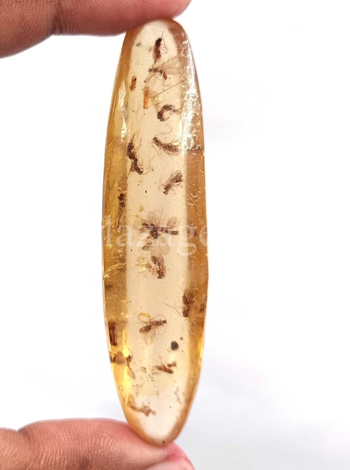 51 Natural  Amber Insect Inclusion Certified Loose Gemstone KK - Image 2 of 4