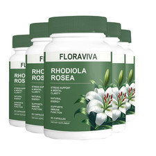 5-Pack Rhodiola Rosea Capsules - Floraviva for Energy, Focus, Mood -300 Capsules