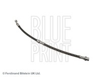 Blue Print ADG05855 Gasfeder, Koffer-/Laderaum FüR Ssangyong
