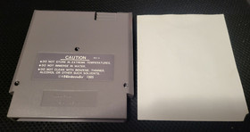 The Immortal -- NES Nintendo Authentic Game, Instruction Card and Sleeve!