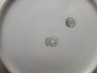 Five L S & S Limoges Gold Encrusted  7.25"Plates — photo 6