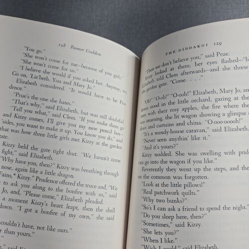 The Diddakoi by Rumer Godden 1972 Vintage Hardcover Dust Jacket - Foto 7 di 9