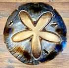 Sand Dollar Embossed Metal Wall Decor 14"