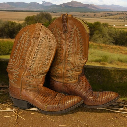 Bota de Vaquero Dan Post Piel de Lagarto De Colección Talla 10D 10WD - Imagen 1 de 13