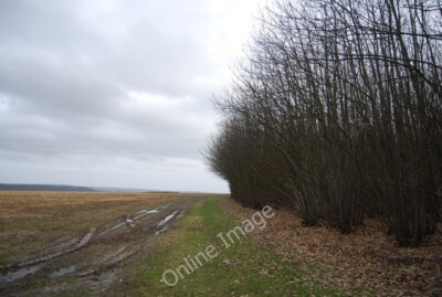 Photo 6x4 The edge of Beech Wood Key's Green On the O.S. Map this area is c2010