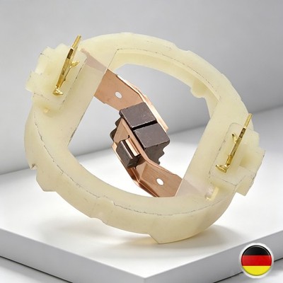 Kohlebürsten Bohrschrauber Winkelschleifer Schleifer Für Parkside Motor RS897 DE