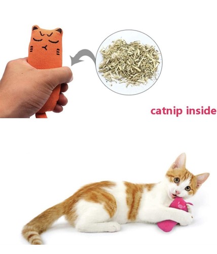 CATNIP PET CAT KITTEN TOY CHEW TEETH CLEANING + 2 In 1 Pointer LED Light Chaser - Picture 6 of 9