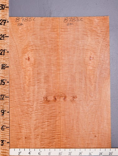  Musical Curly Maple Microlumber Bookmatch 20"1/4 X 27" X 1/4 (NWT-8785C)