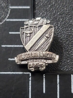 Vintage Pinback BETA SIGMA PHI Vita Scientia Amicitta
