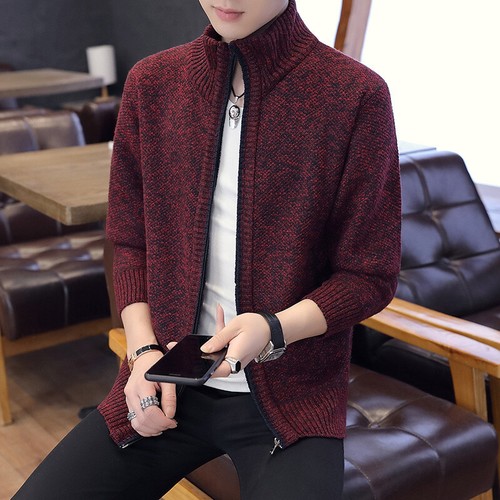 Men's Sweater Jacket Stand Collar Zipper Sweater Casual Youth Knit Cardigan Tops - Bild 3 von 29