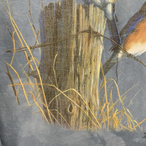 Vintage y2k Nature Long Sleeve T Shirt Mens XL Blue Birds Fence Post 100% Cotton - Picture 7 of 21