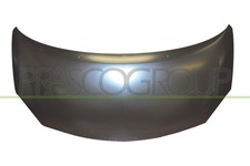 Motorhaube für Renault - Twingo Dynamic - Mod. 06/07 - 01/12