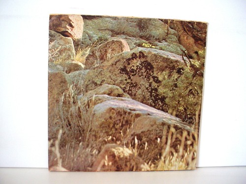 DAVE MASON Alone Together original MARBLE VINYL LP from 1970 BLUE THUMB BTS 19 - Imagen 4 de 4