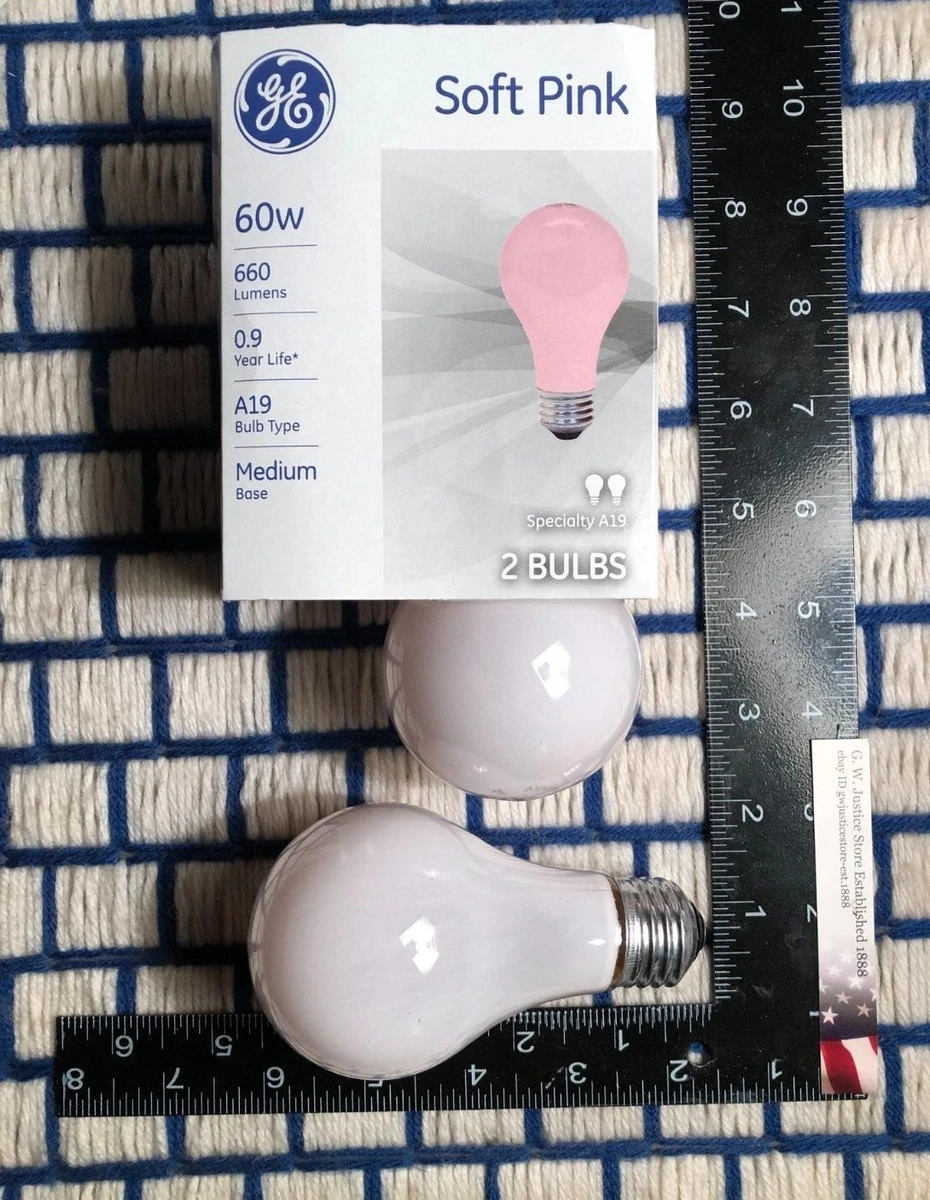 米国ＧＥ（ジェネラル・エレクトリック）社のアンティーク電球 GE Vintage/Retro Light Bulbs for sale | eBay
