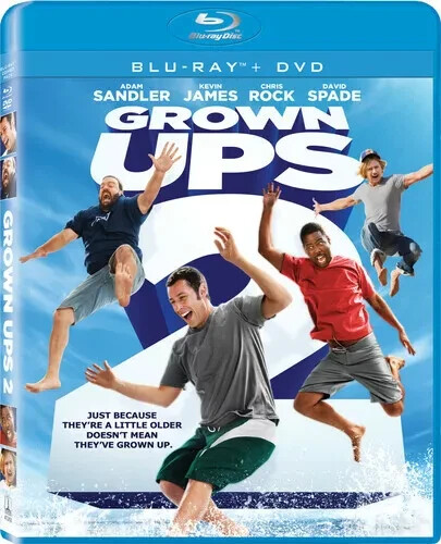 BLU-RAY COMEDY -DISC + COVER ART - NO CASE - $2 COMBINED SHIPPING - SEE DETAILS - Picture 26 of 96