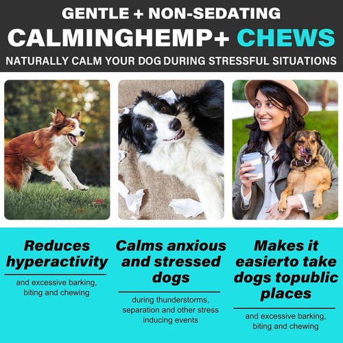 Hemp Calming Chews for Dogs 150 Pcs Calming Treats for Separation Anxiety Relief - Picture 8 of 10