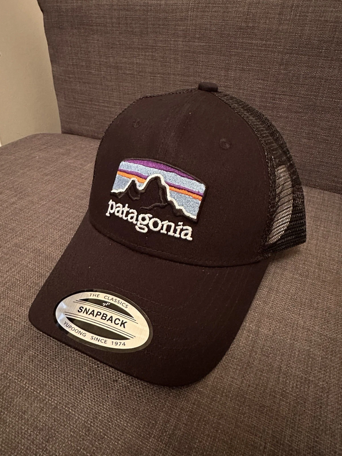 Patagonia Men's Adjustable Baseball Cap