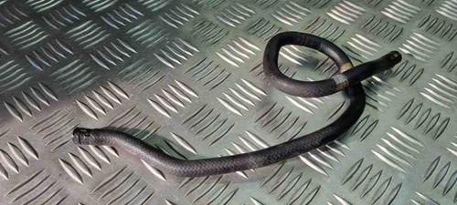 MERCEDES-BENZ B W245 Kraftstoffrohr A1694700275 2.00 Diesel 2005 31065615