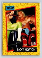 1991 Impel WCW #101 Ricky Morton