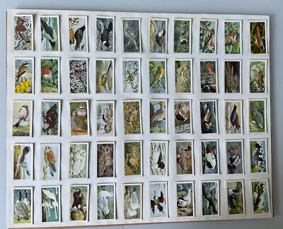 WILD BIRDS IN BRITAIN - 'SELECT CARD' - BROOKE BOND TEA CARDS