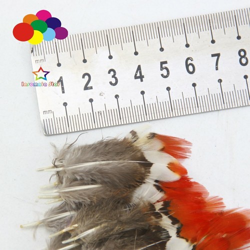 2-14inch/5-35 cm wholesale Premium Pheasant Tail red tip Feathers Diy carnival - Picture 9 of 14