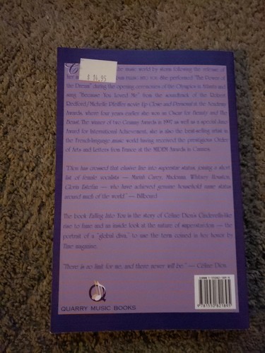 CELINE DION Falling Into You large paperback book - Picture 2 of 2