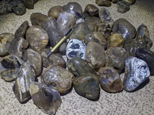 XMAS SPECIAL!! 38 Lbs Montana Agate/Large size Was $78 Now $69