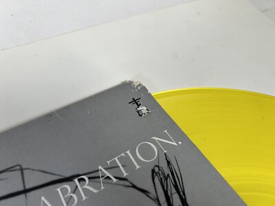 Frnkiero And The Cellabration Stomachaches White Vinyl LP Frank