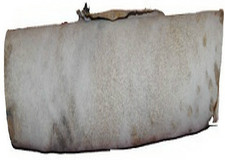 Animal Leather Skin For Turkish Drum Davul Dhol