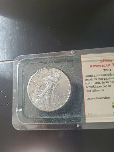 .999 Fine Silver American Eagle 2001 Uncirculated 1 Oz Coin *Cracked Case*