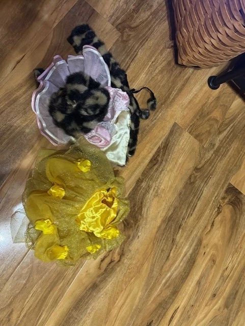 Gran Lote de Muñecas American Girl Ropa Accesorios Zapatos Mascotas AUTÉNTICOS Foto 2 de 4