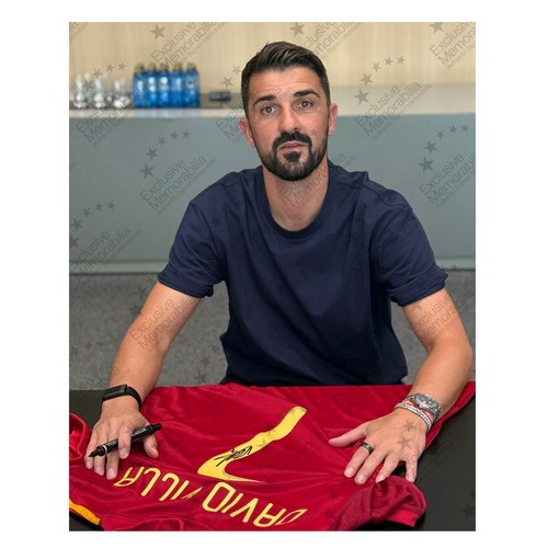 Maglia calcio Spagna 2020 firmata David Villa. Cornice icona - Foto 2 di 5