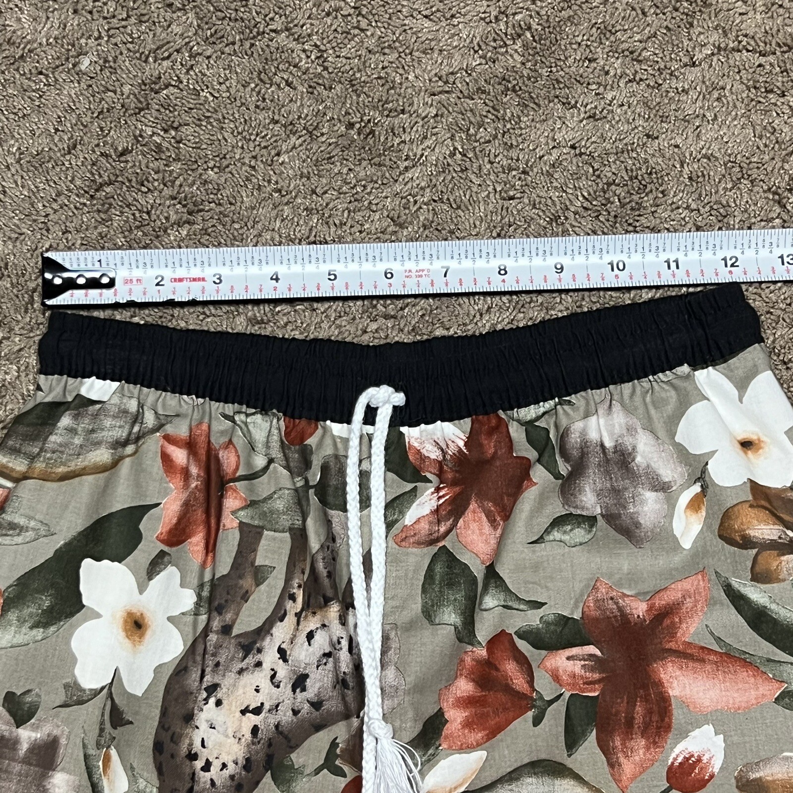 Picture 11 of 12