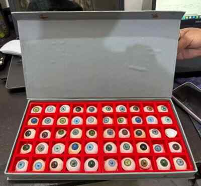 Prosthetic Artificial Eye 50 Pcs Set with Different Unique shades with Box