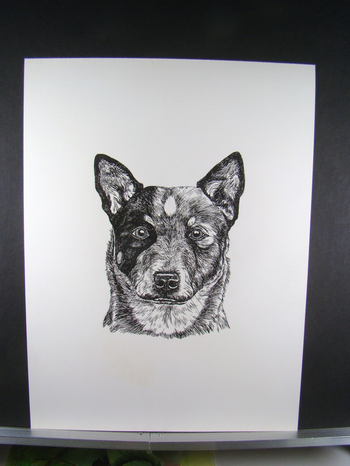 Picture 2 of 3