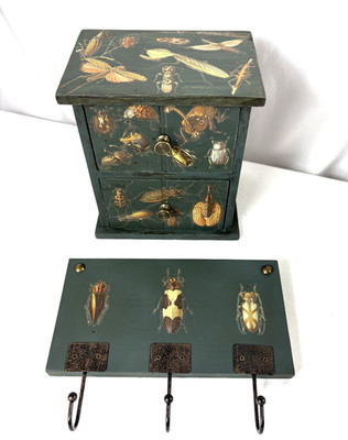 Wood Bug Collection Box Drawers Matching Wall Hooks Green Set of 2 Entomologist