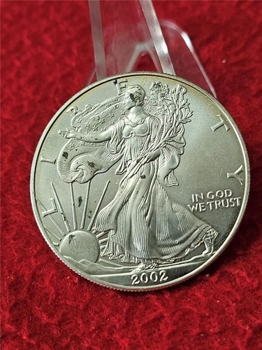 2002   American Silver Eagle ASE Dollar  .999 1oz Fine Silver         #MF-T1916