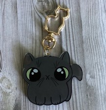 acrylic Black Cat keychain