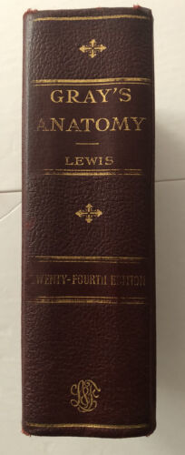 1942 GRAY'S ANATOMY, Anatomia ludzkiego ciała twarda okładka Lewis 24 ed - Zdjęcie 1 z 11