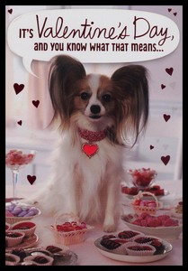 Featured image of post Perro Papillon Cachorro