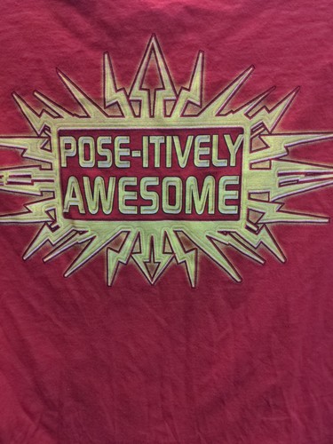 RARE Edge and Christian WWE Official Red Pose Shirt Pose-Itively Awesome - Large - Picture 6 of 10