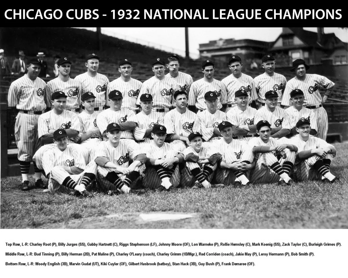 Champs cubs sales jersey