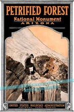 Petrified Forest Arizona 1919 National Park Vintage Poster Print Retro Train Art