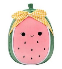 Squishmallows 10 Wanda The Watermelon Green Pink Plush Stuffed Animal NEW NWT