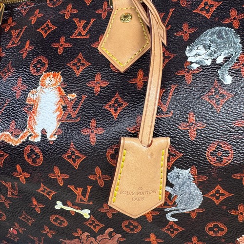 Louis Vuitton Catogram Speedy 30 Bag Grace Coddington Cat Handbag Monogram LV - Picture 8 of 19